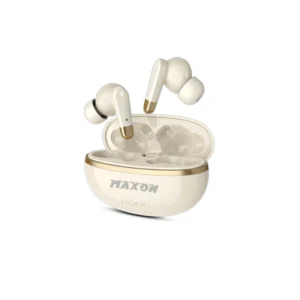 maxon B304