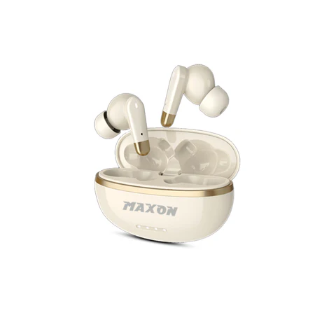 maxon B304